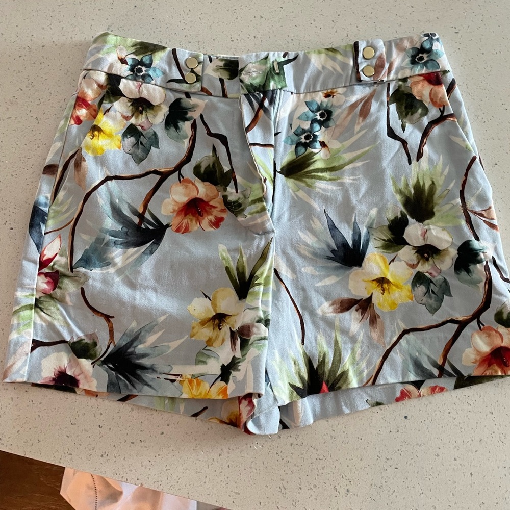 Zara shorts